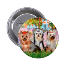 Yorkshire Terriers (three) - Garden Pins