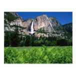 Yosemite National Park, Ca Post Card