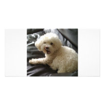 You talking to me? custom photo card