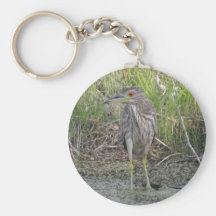 Young Black-crowned Night-heron Key Chain