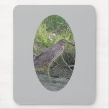 Young Black-crowned Night-heron Mousepad