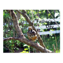 Young Robin on Tree Branch-Father's Day Post Card
