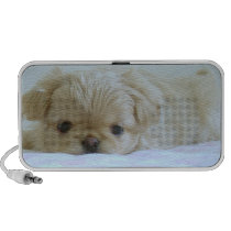 Your best friend's speaker - add your dog's photo! speakers