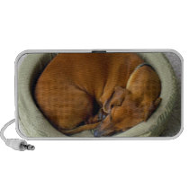 Your best friend's speaker - add your dog's photo! speakers