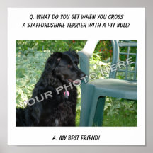 Your Photo! Best Friend Staffordshire Terrier Mix Print