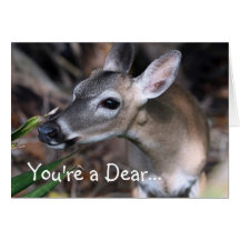 "You're a Dear" Card
