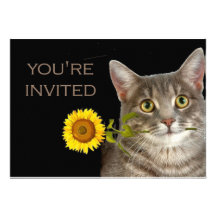 You're invited!  says this kitten