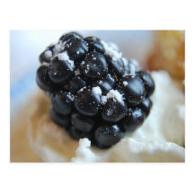 Yummy Blackberry Post Card
