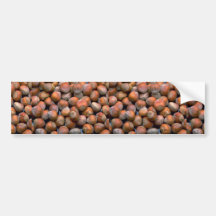 Yummy Hazelnuts Bumper Stickers