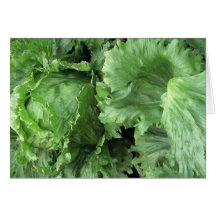 Yummy Iceberg lettuce Cards