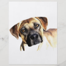 Zack Personalized Flyer