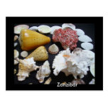 Zanzibar shells post card