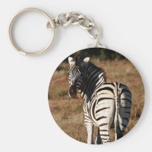 Zebra behind key chain