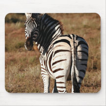 Zebra behind mouse pad