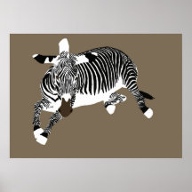 Zebra on ground poster