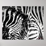 zebra stripes print