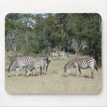Zebras Mousepads