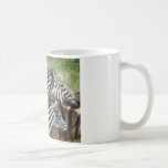 Zebras South Africa Coffee Mug