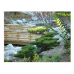 Zen Garden Post Cards