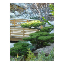 Zen Garden Postcard
