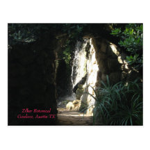 Zilker Botanical Gardens, Austin TX Postcard
