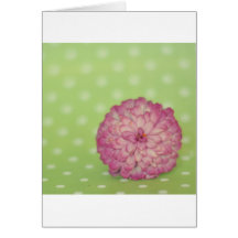 Zinnia Greeting Card