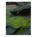 Zion Canyon Moss Post Cards
