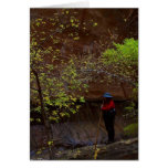 Zion Narrows Autumn Card