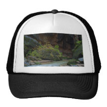 Zion Narrows Streams Virgin Rivers Trucker Hats