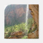 Zion National Park Fridge Magnets