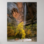Zion National Park, Utah. USA. Ephemeral Print