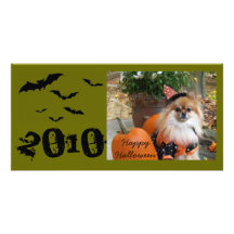 ZOE Happy Halloween, 2010 Photo Cards