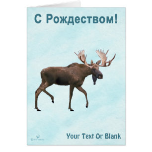 С Рождеством - Bull Moose On Snow