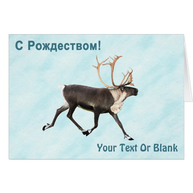 С Рождеством - Caribou (Reindeer) On Snow (Front Horizontal)