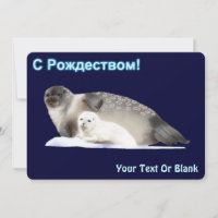 С Рождеством  - Ringed Seal