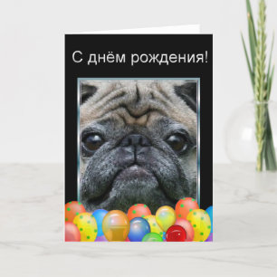 С днём рождени Happy Birthday Pug Dog card