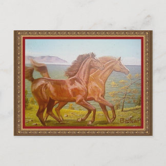 лошади на Байкале Postcard