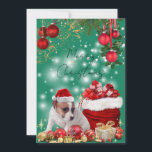 かわいいジャックラッセルテリアのメリークリスマス♡ HOLIDAY CARD<br><div class="desc">かわいいジャックラッセルテリアのメリークリスマス♡シーズンカード
子犬のクリスマス シーズンカード
プレゼント　キラキラ　わんちゃん　Merry Christmas</div>