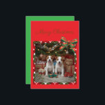 かわいいジャックラッセルテリアの子犬たちとクリスマス♡ HOLIDAY CARD<br><div class="desc">かわいいジャックラッセルテリアの子犬たちとクリスマス♡  シーズンカード
子犬のクリスマス おもちゃ クリスマスチェック　リボン
プレゼント　キラキラ　わんちゃん　happy holidays　Merry Christmas</div>