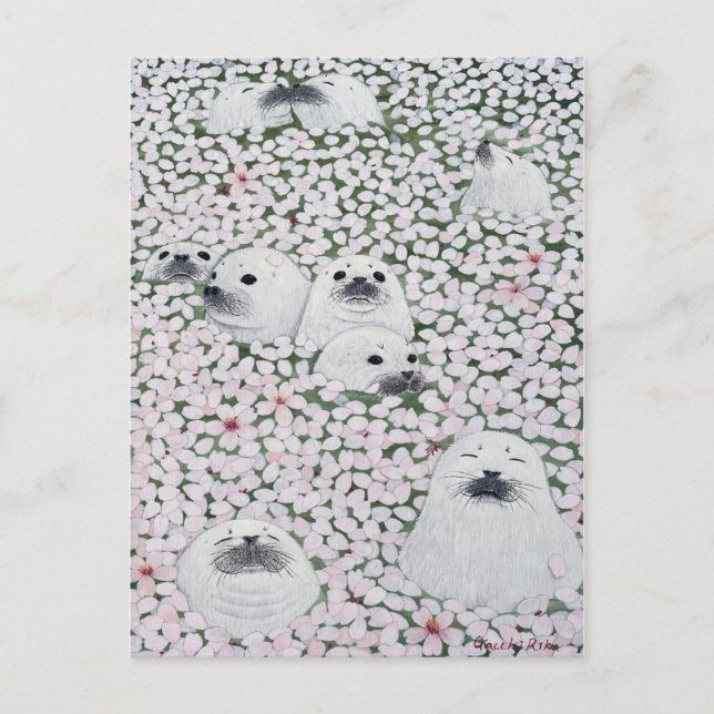 アザラシ四季シリーズ　春 POSTCARD (Front)