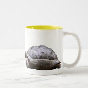 アルダブラゾウガメ Two-Tone COFFEE MUG