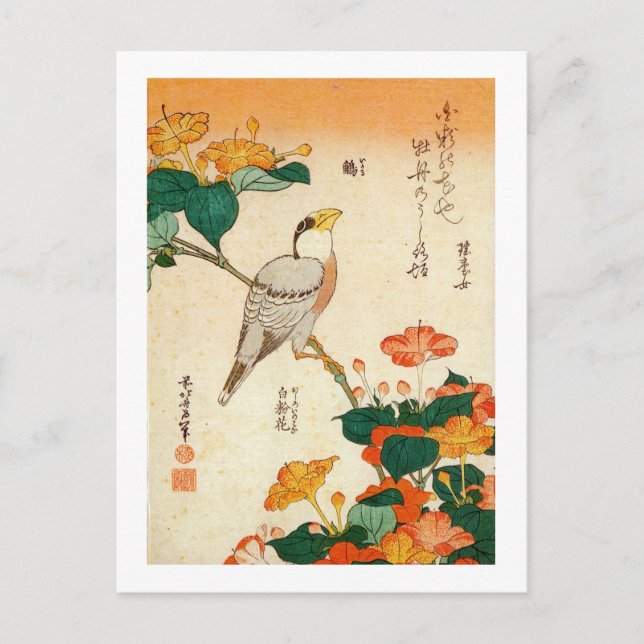 オシロイバナに小鳥, 北斎 Bird and Mirabilis Jalapa, Hokusai Postcard (Front)