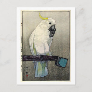 キバタン・オウム, Sulphur-crested cockatoo, Yoshida Postcard