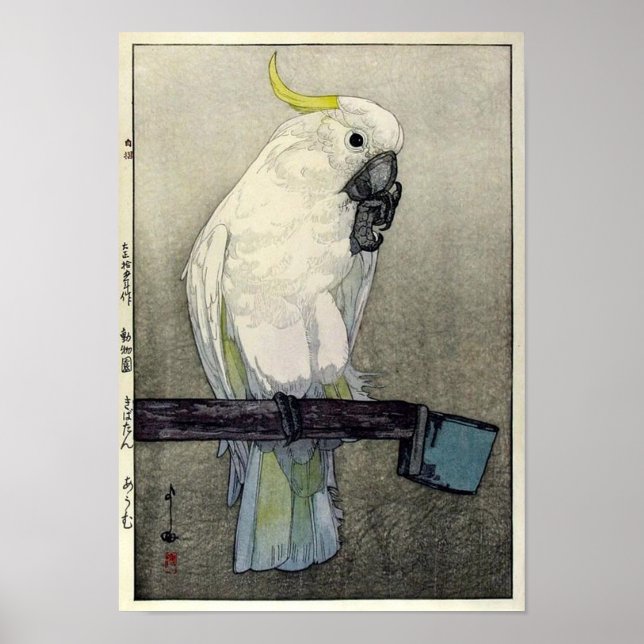 キバタン・オウム, Sulphur-crested cockatoo, Yoshida Poster (Front)