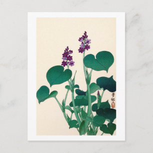 ギボウシの花, 古邨 Purple Flowering Hosta, Ohara Koson Postcard