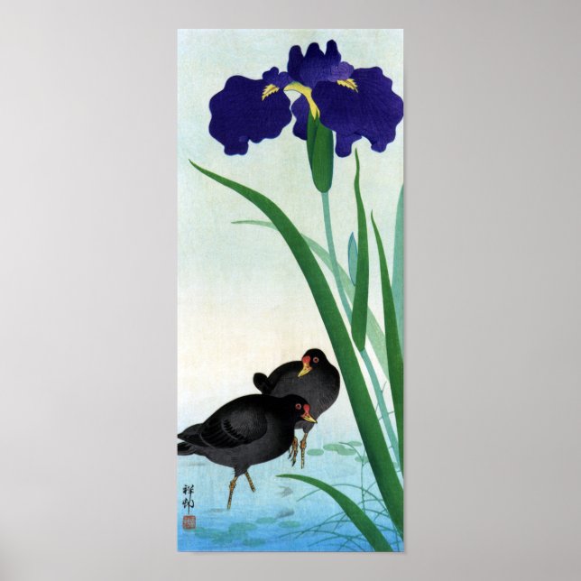 クイナとアヤメ, 古邨 Moorhens and Iris, Ohara Koson Poster (Front)