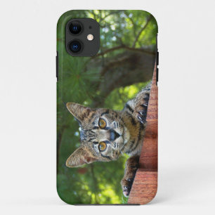 サバンナ猫のiPhone 5の穹窖やっとそこに iPhone 11 Case
