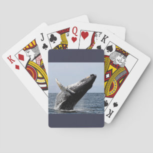 ザトウクジラ PLAYING CARDS