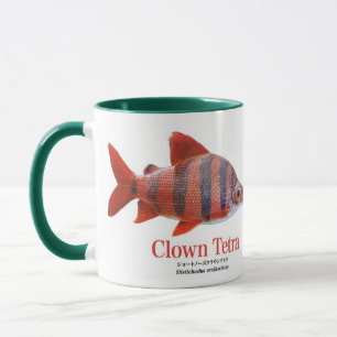 ショート・ノーズ・クラウン・テトラ MUG