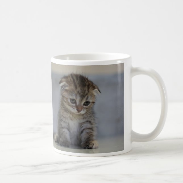 スコティッシュフォールド子猫　マグカップ COFFEE MUG (Right)